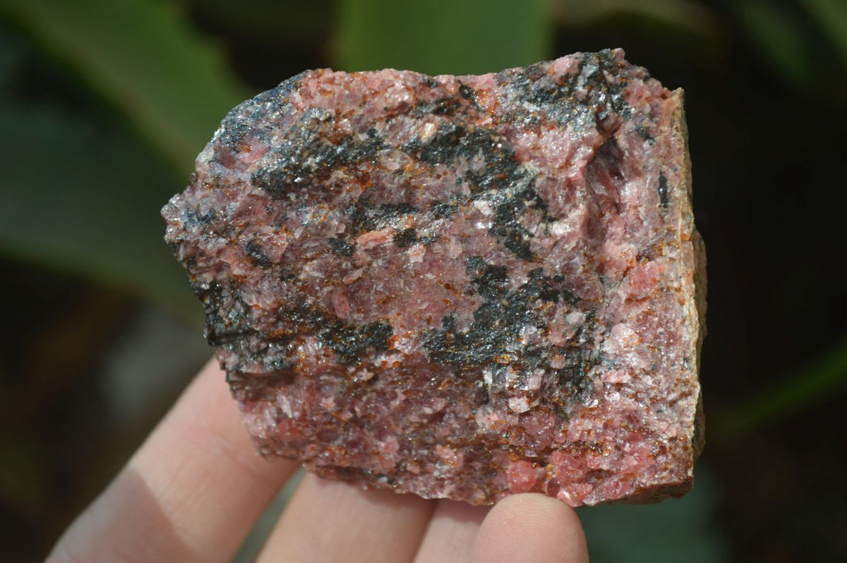 Natural Rough Red Rhodonite Specimens x 6 From Zimbabwe - Toprock Gemstones and Minerals 