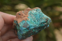 Natural Rough Blue Shattuckite Specimens  x 12 From Namibia - TopRock