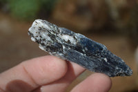 Natural Single Blue Kyanite Crystals  x 1.9 Kg Lot From Karoi, Zimbabwe - Toprock Gemstones and Minerals 
