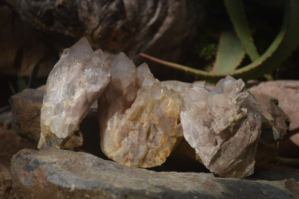 Natural Cascading Smokey Quartz Clusters x 3 From Luena, Congo - Toprock Gemstones and Minerals 