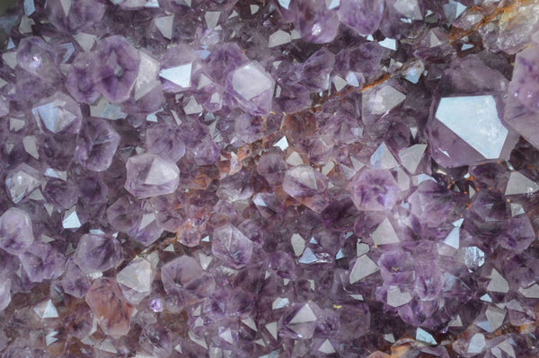 Natural Stunning Rare Deep Purple Spirit Amethyst Cluster  x 1 From Boekenhouthoek, South Africa - Toprock Gemstones and Minerals 