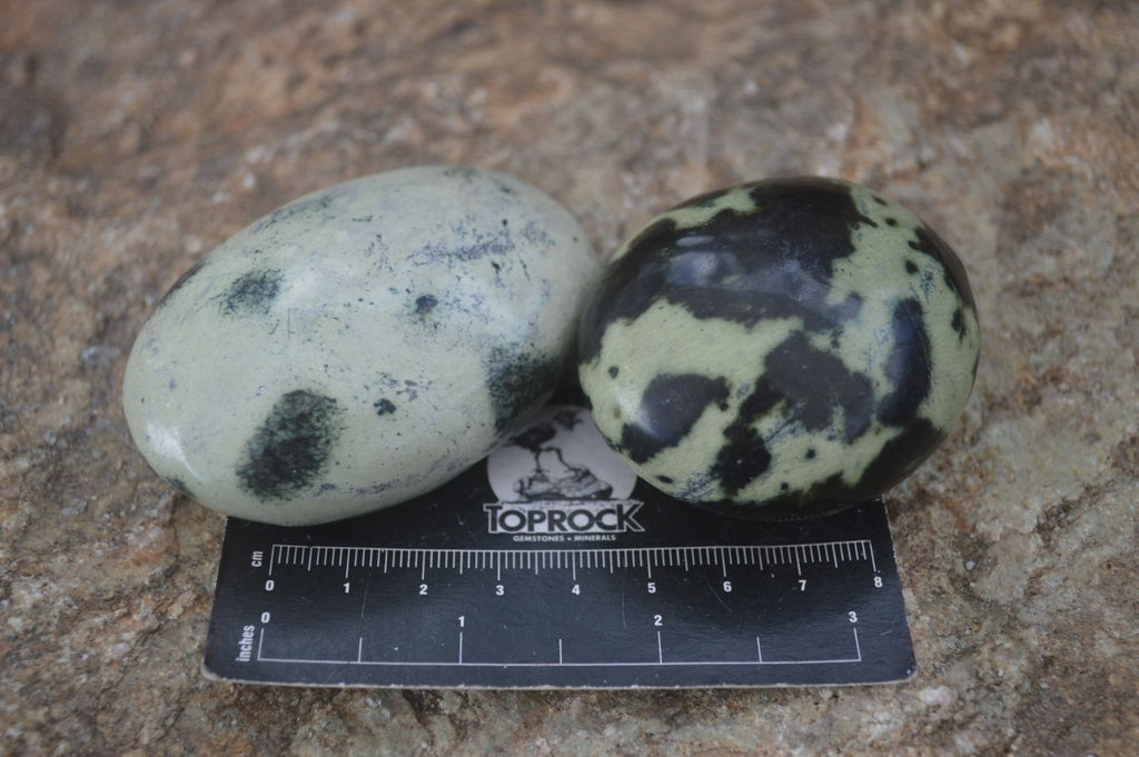 Polished Spotted Leopard Stone Free Forms  x 12 From Zimbabwe - Toprock Gemstones and Minerals 