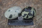 Polished Spotted Leopard Stone Free Forms  x 12 From Zimbabwe - Toprock Gemstones and Minerals 