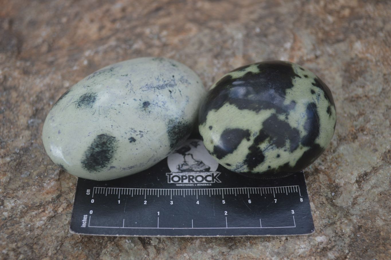 Polished Spotted Leopard Stone Free Forms  x 12 From Zimbabwe - Toprock Gemstones and Minerals 