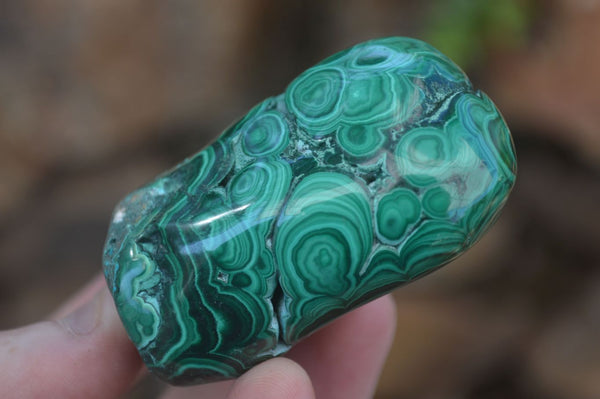 Polished Flower Banded Malachite Free Forms  x 6 From Congo - Toprock Gemstones and Minerals 