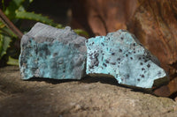 Natural Drusy Coated Chrysocolla Dolomite Specimens x 6 From Likasi, Congo - Toprock Gemstones and Minerals 