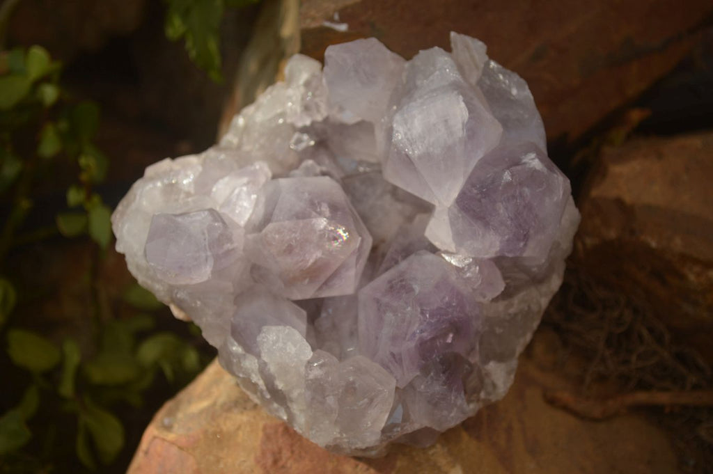 Natural Jacaranda Amethyst Clusters x 2 From Mumbwe, Zambia - Toprock Gemstones and Minerals 