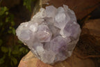 Natural Jacaranda Amethyst Clusters x 2 From Mumbwe, Zambia - Toprock Gemstones and Minerals 