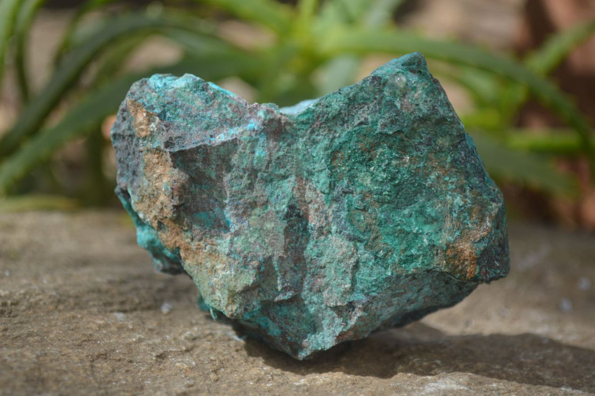 Natural Rough Shattuckite Cobbed Specimens x 6 From Kaokoveld, Namibia - Toprock Gemstones and Minerals 