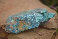 Natural Rough Blue Shattuckite Specimens  x 12 From Namibia - TopRock
