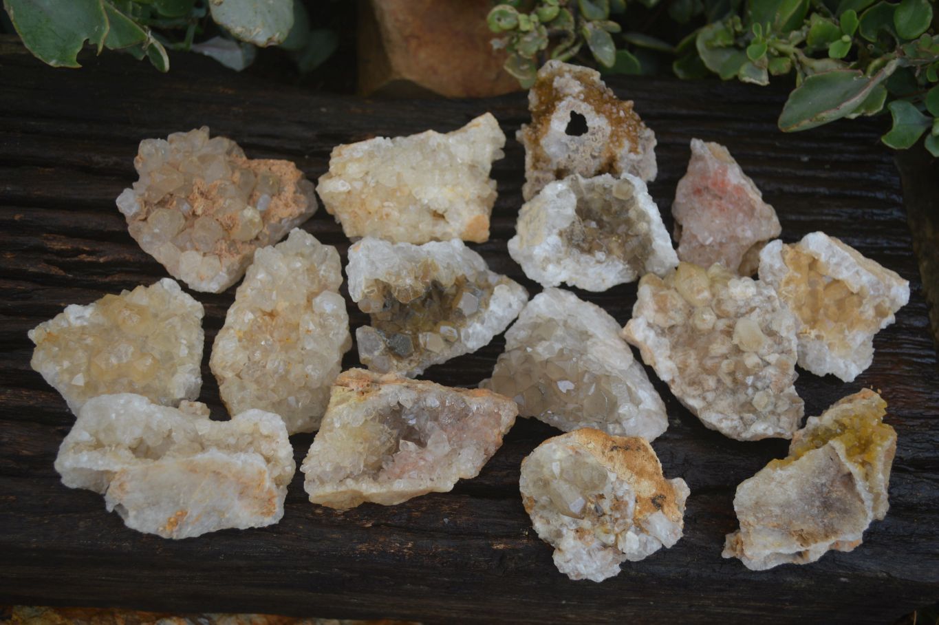 Natural Golden Limonite / Lemonite Quartz Clusters  x 24 From Zambia - Toprock Gemstones and Minerals 