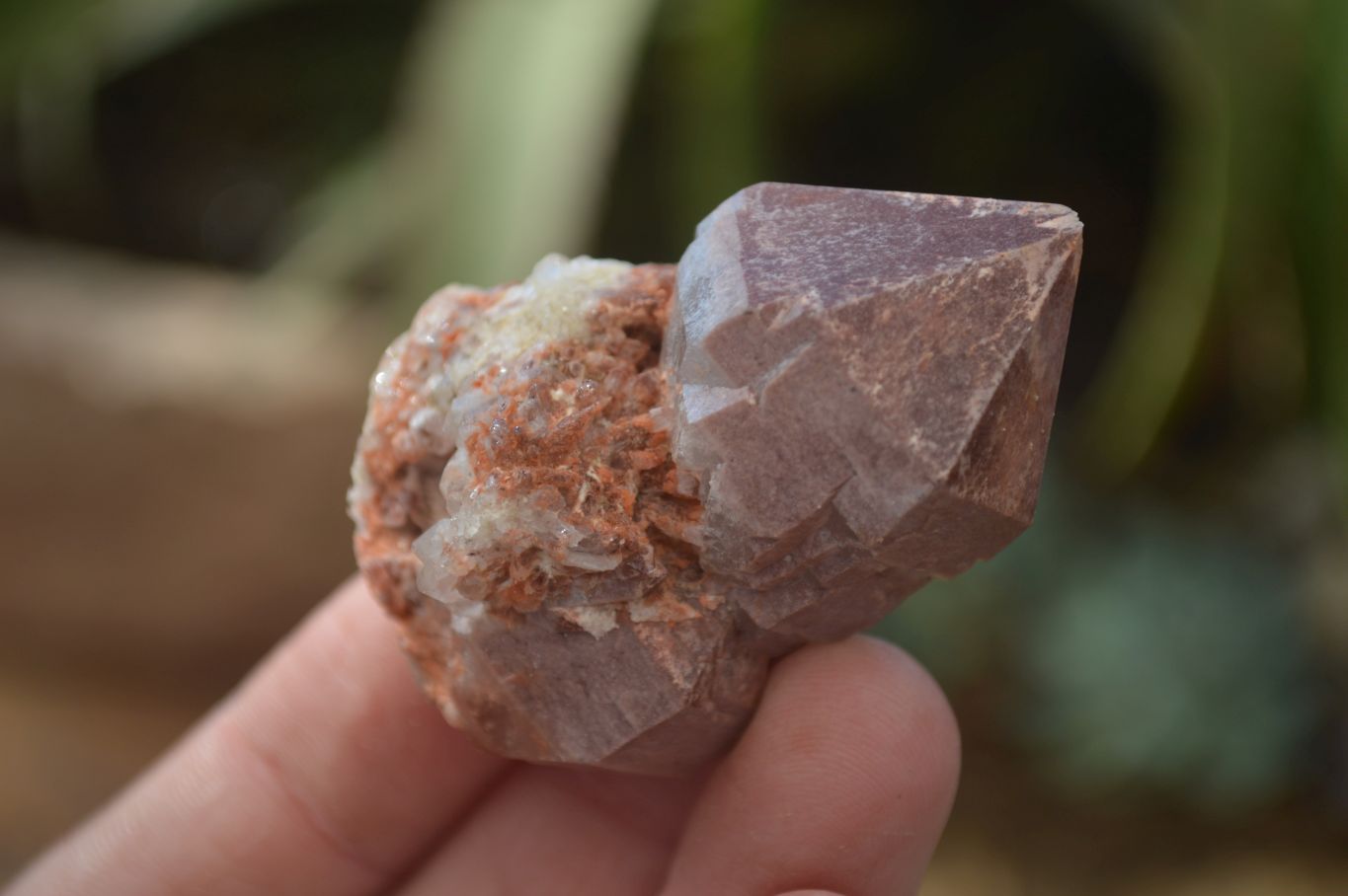 Natural Smokey Hematoid Quartz Crystals  x 35 From Madagascar - Toprock Gemstones and Minerals 