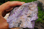 Natural Rare Stichtite & Green Serpentine Specimens x 2 From Barberton, South Africa - TopRock