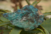 Natural Rough Blue Shattuckite Specimens  x 12 From Namibia - TopRock