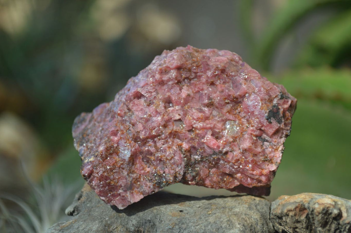 Natural Rough Red Rhodonite Specimens x 6 From Zimbabwe - Toprock Gemstones and Minerals 