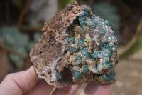 Natural Rare Ball Malachite On Drusy Quartz & Dolomite Specimens x 2 From Kambove, Congo - Toprock Gemstones and Minerals 