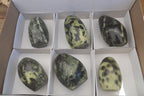 Polished Spotted Leopard Stone Standing Free Forms  x 6 From Zimbabwe - Toprock Gemstones and Minerals 