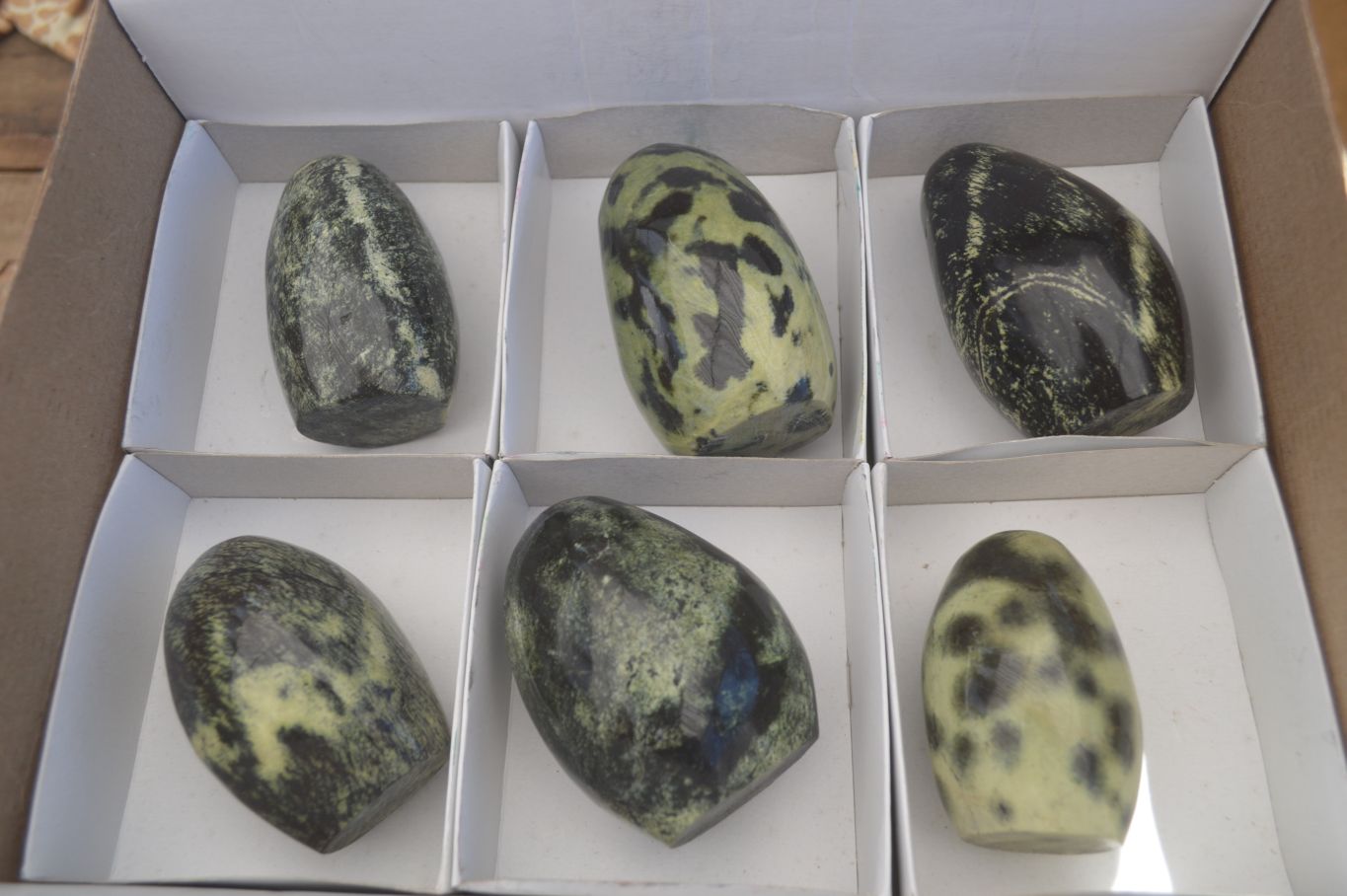 Polished Spotted Leopard Stone Standing Free Forms  x 6 From Zimbabwe - Toprock Gemstones and Minerals 
