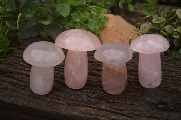 Polished Pink Rose Quartz Mushrooms  x 4 From Ambatondrazaka, Madagascar - TopRock