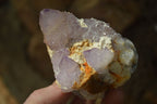 Natural Spirit Amethyst Quartz Clusters x 6 From Boekenhouthoek, South Africa - Toprock Gemstones and Minerals 