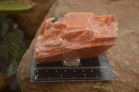Natural New Sunset Orange Calcite Specimens  x 4 From Spitzkop, Namibia - Toprock Gemstones and Minerals 