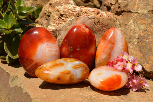Polished Carnelian Agate Standing Free Forms  x 5 From Madagascar - TopRock