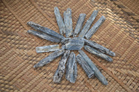 Natural Single Blue Kyanite Crystals  x 1.9 Kg Lot From Karoi, Zimbabwe - Toprock Gemstones and Minerals 