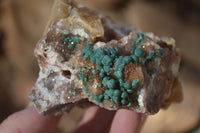 Natural Rare Ball Malachite On Drusy Quartz & Dolomite Specimens x 2 From Kambove, Congo - Toprock Gemstones and Minerals 