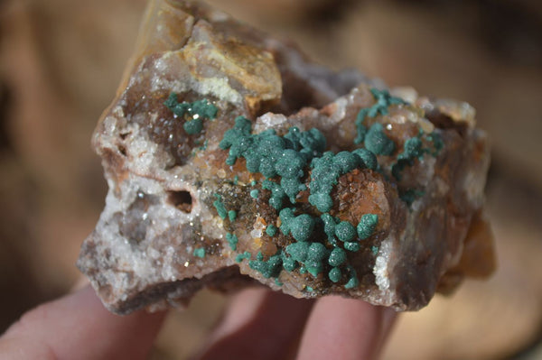 Natural Rare Ball Malachite On Drusy Quartz & Dolomite Specimens x 2 From Kambove, Congo - Toprock Gemstones and Minerals 