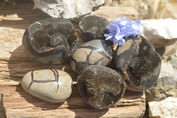 Polished Septaria Nodule (Calcite & Aragonite) Free Forms x 6 From Mahajanga, Madagascar - TopRock