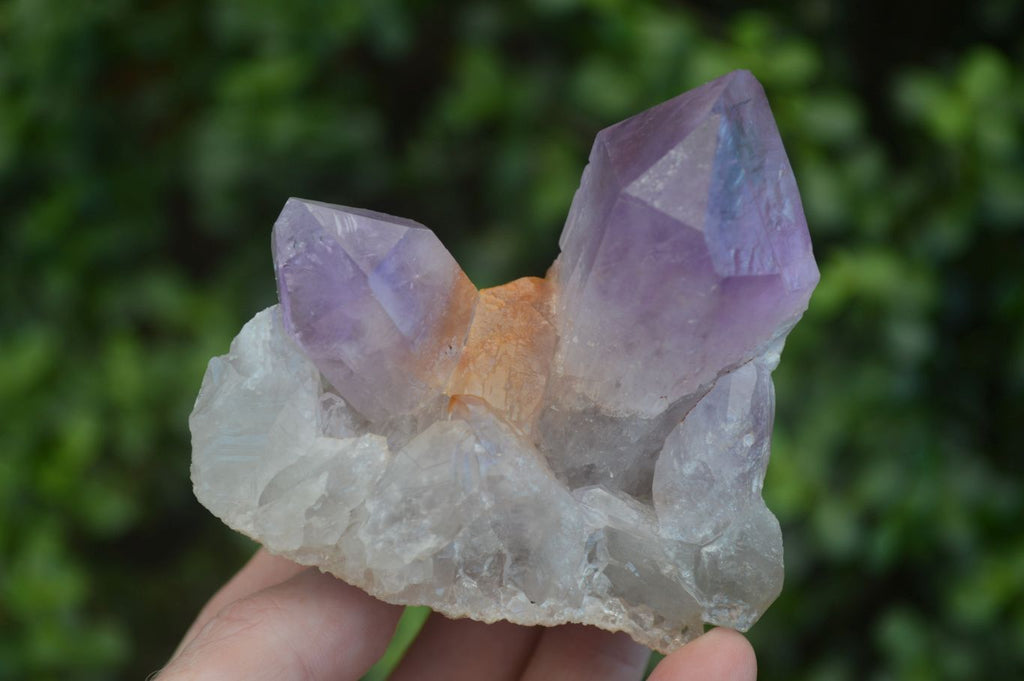 Natural Small Jacaranda Amethyst Specimens  x 12 From Mumbwa, Zambia - Toprock Gemstones and Minerals 