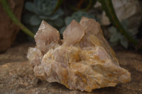 Natural Cascading Smokey Quartz Clusters x 2 From Luena, Congo - Toprock Gemstones and Minerals 