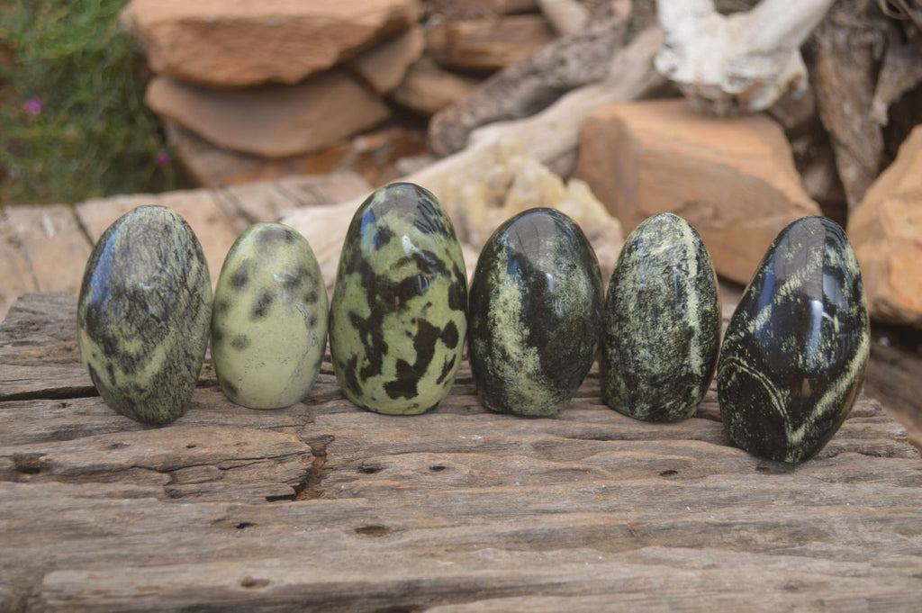 Polished Spotted Leopard Stone Standing Free Forms  x 6 From Zimbabwe - Toprock Gemstones and Minerals 