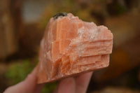 Natural New Sunset Orange Calcite Specimens  x 4 From Spitzkop, Namibia - Toprock Gemstones and Minerals 