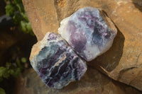Polished Watermelon Fluorite Slices  x 12 From Namibia