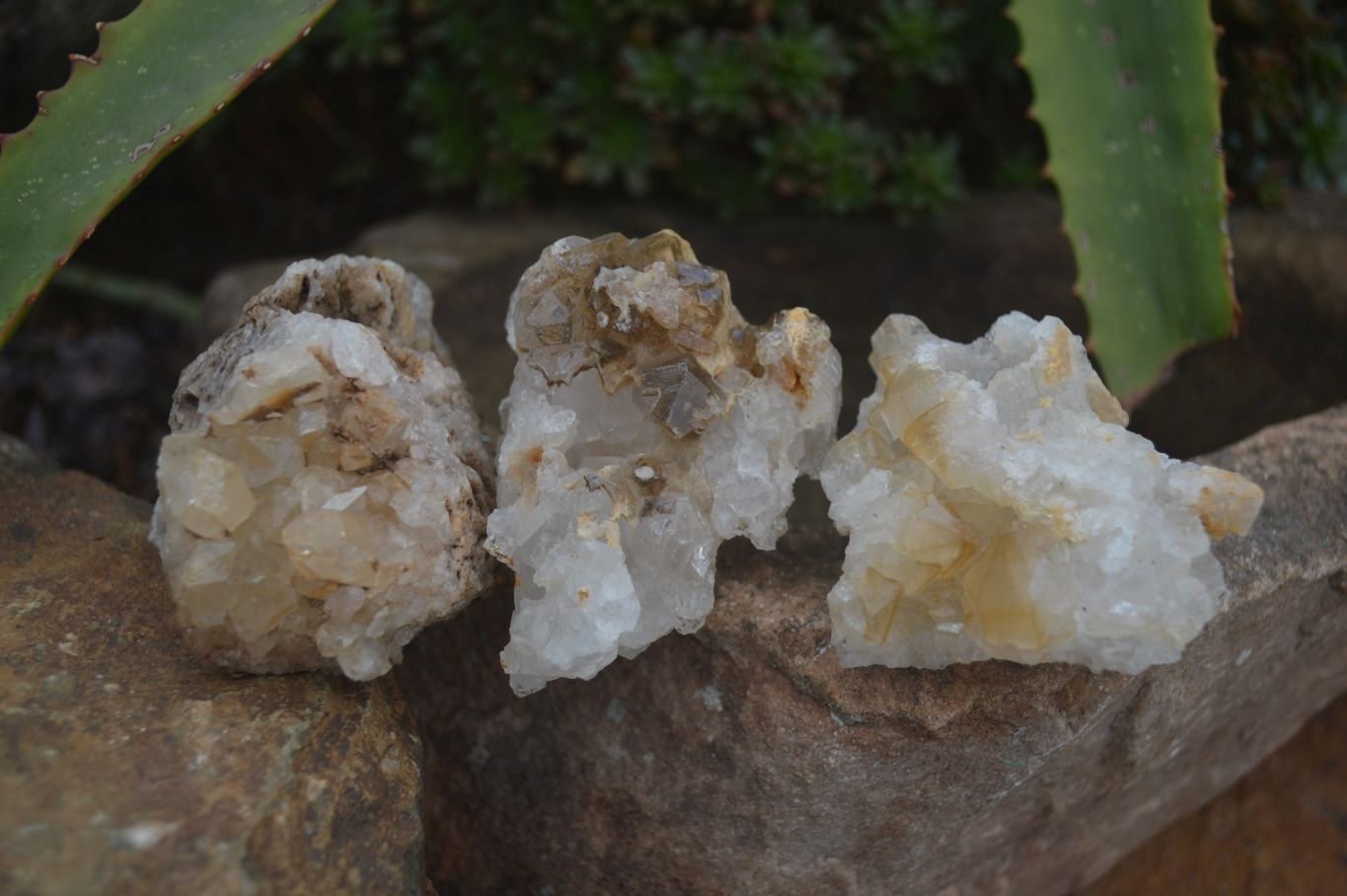 Natural Golden Limonite / Lemonite Quartz Clusters  x 24 From Zambia - Toprock Gemstones and Minerals 