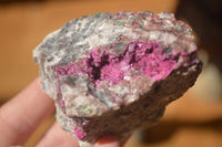 Natural Pink Salrose Cobaltion Dolomite Specimens x 6 From Kakanda, Congo - Toprock Gemstones and Minerals 