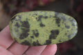 Polished Spotted Leopard Stone Free Forms  x 12 From Zimbabwe - Toprock Gemstones and Minerals 
