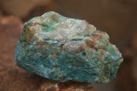 Natural Rough Blue Shattuckite Specimens  x 12 From Namibia - TopRock