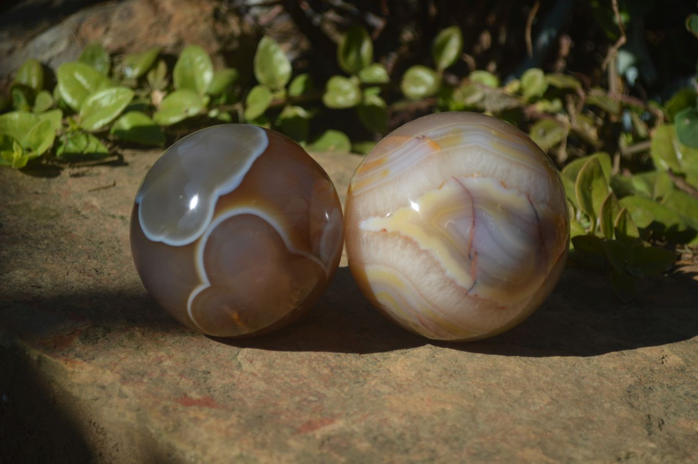 Polished Agate Spheres x 2 From Madagascar - Toprock Gemstones and Minerals 