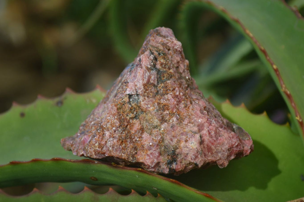 Natural Rough Red Rhodonite Specimens x 6 From Zimbabwe - Toprock Gemstones and Minerals 