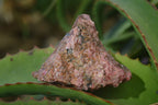 Natural Rough Red Rhodonite Specimens x 6 From Zimbabwe - Toprock Gemstones and Minerals 