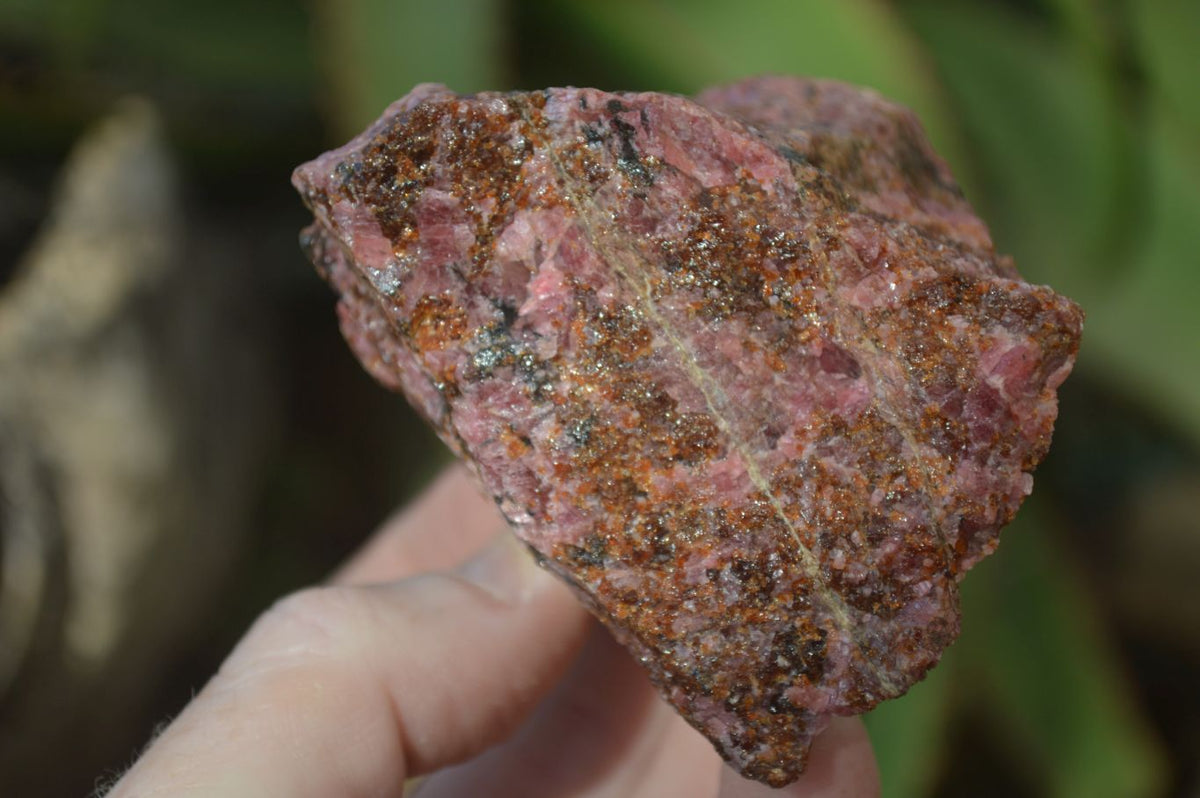 Natural Rough Red Rhodonite Specimens x 6 From Zimbabwe - Toprock Gemstones and Minerals 