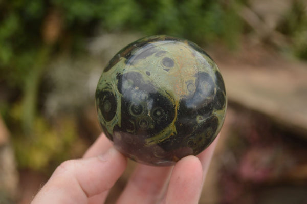 Polished Stromatolite / Kambamba Jasper Spheres  x 3 From Mahajanga, Madagascar - TopRock