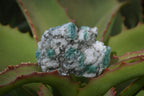 Natural Rare Emerald Mica In Matrix Cobbed Specimens x 20 From Mutoko, Zimbabwe - Toprock Gemstones and Minerals 