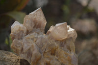 Natural Cascading Smokey Quartz Clusters x 2 From Luena, Congo - Toprock Gemstones and Minerals 