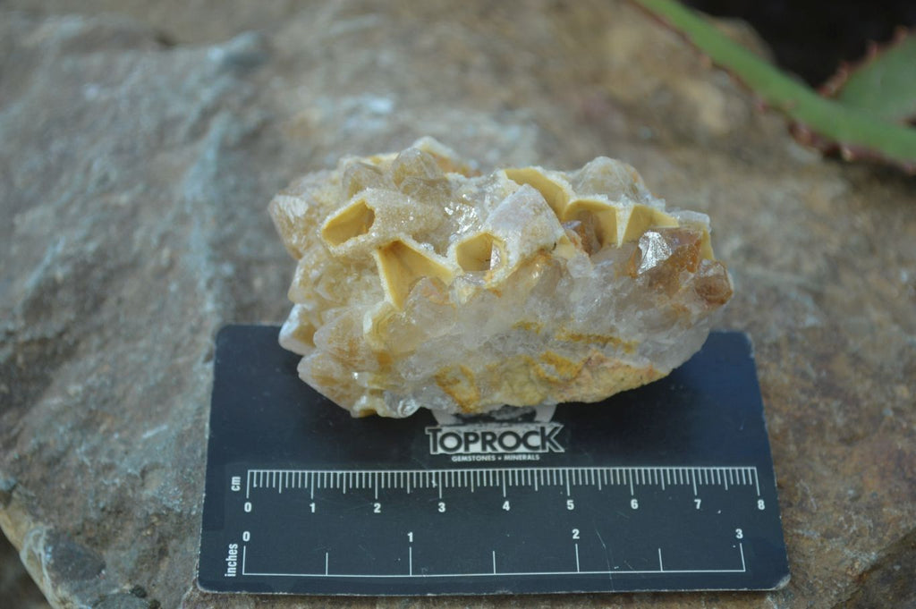 Natural Limonite Quartz Clusters x 12 From Solwezi, Zambia - Toprock Gemstones and Minerals 