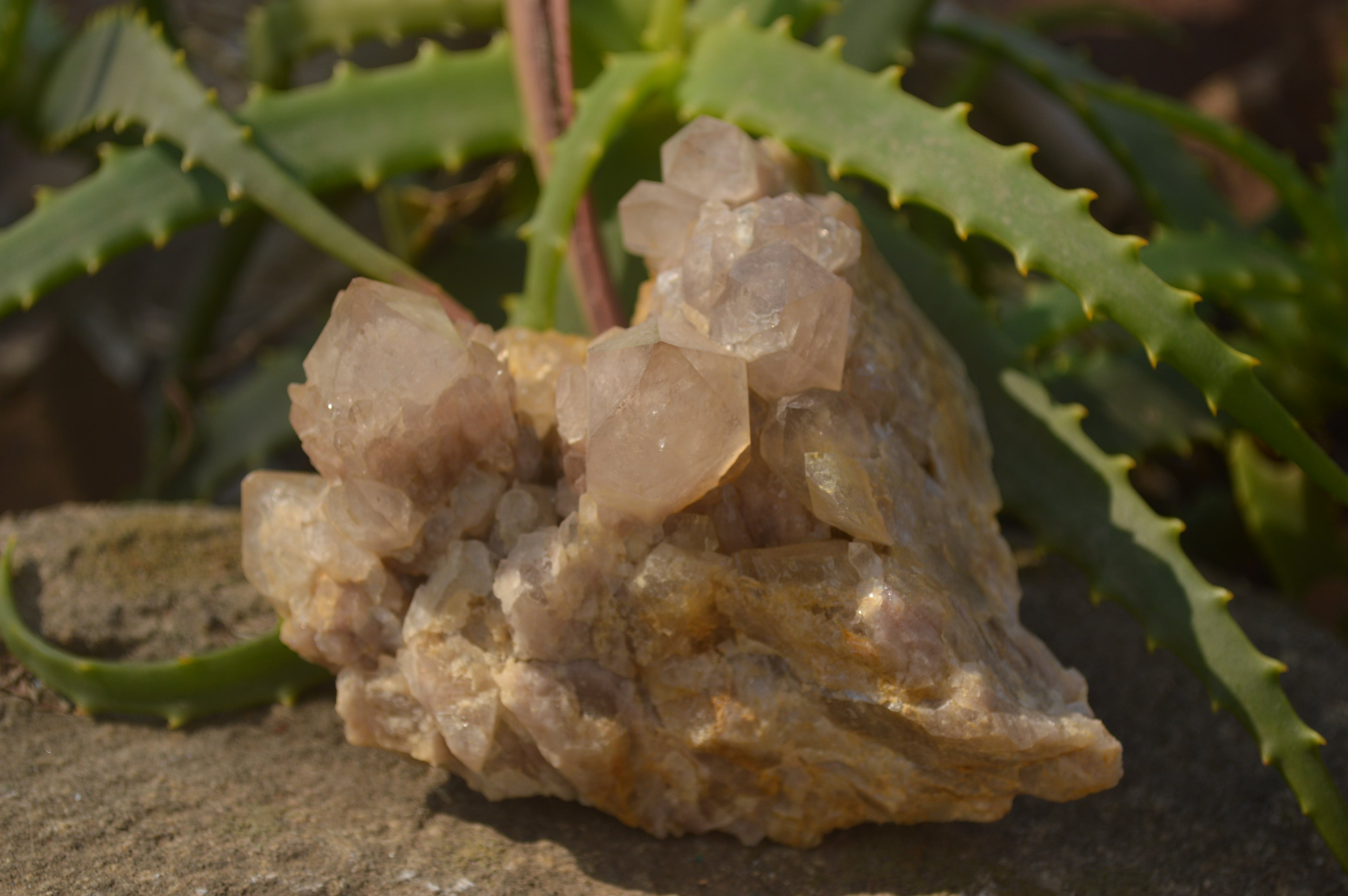 Natural Cascading Smokey Quartz Clusters x 2 From Luena, Congo - Toprock Gemstones and Minerals 