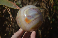 Polished Agate Spheres x 2 From Madagascar - Toprock Gemstones and Minerals 