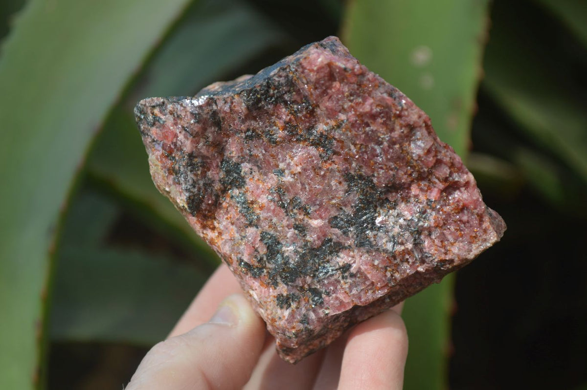 Natural Rough Red Rhodonite Specimens x 6 From Zimbabwe - Toprock Gemstones and Minerals 